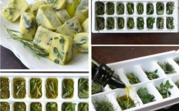 freezing herbs in olive oil