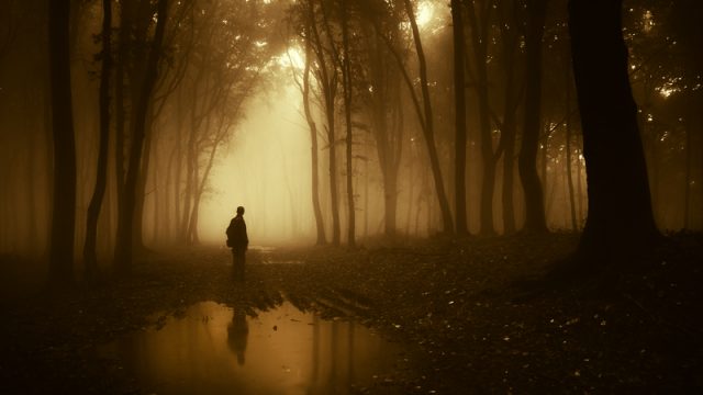 man-by-pond-body-of-water