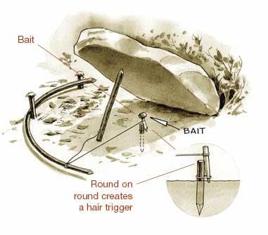 deadfall trap