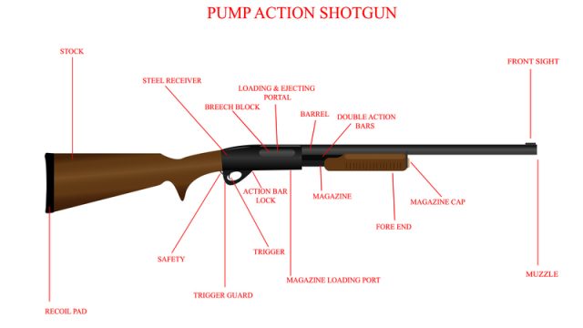 pump-action-shotgun
