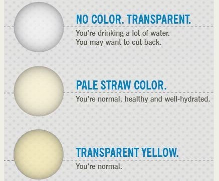 urine color part 1