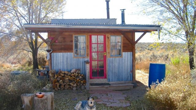 cabin with dog