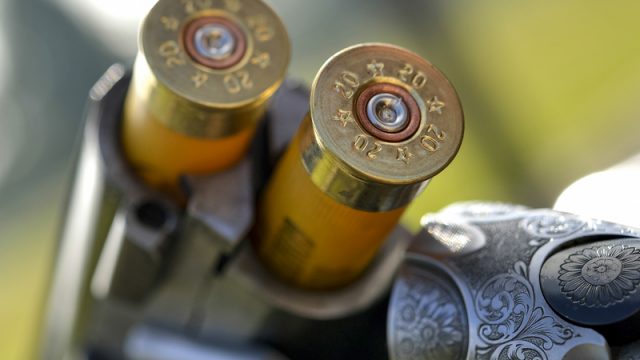 cartridges-in-shotgun
