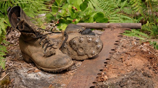 logging boots and handsaw