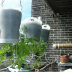 DIY Self Watering Upside Down Hanging Plants - Die Hard Survivor