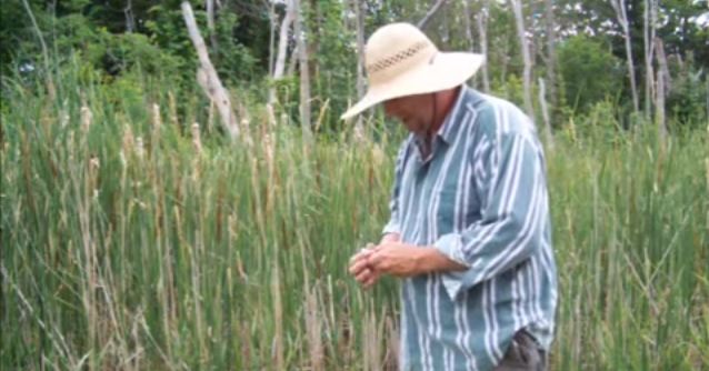 cattail basket weaving