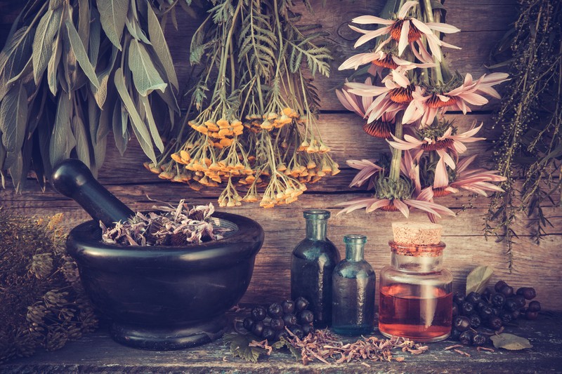 healing herbs