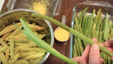 preparing a cattail dish