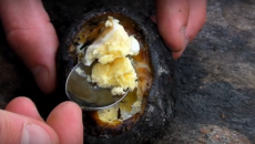 an egg in a potato