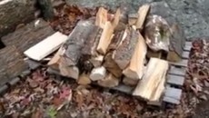 splitting and cutting wood