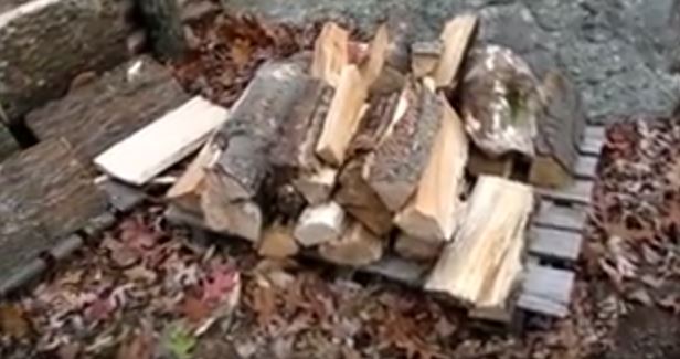 splitting and cutting wood