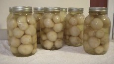 canning baby potatoes