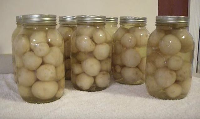 canning baby potatoes
