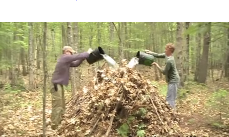 debris hut