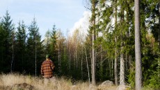 man by trees in forest