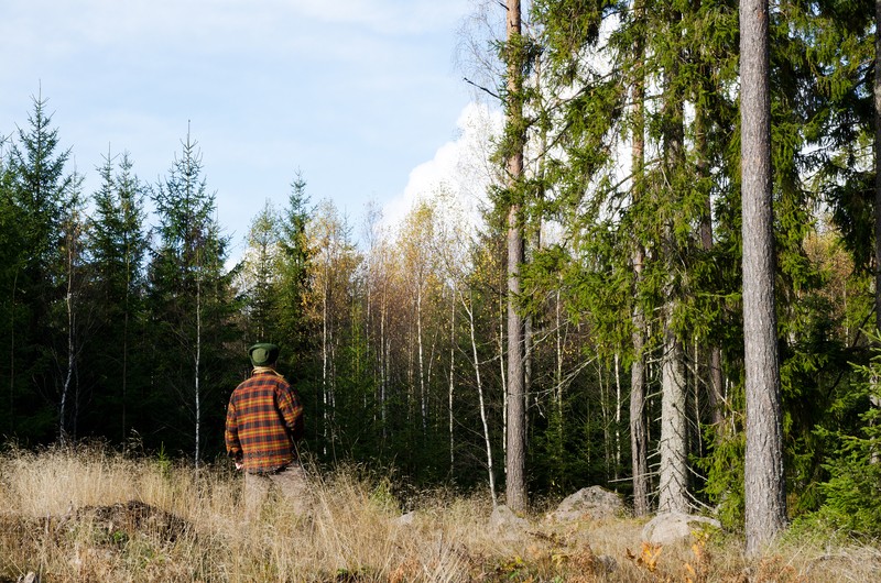 man by trees in forest