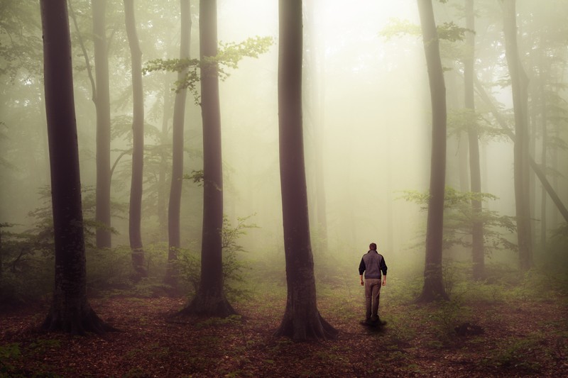 man in the forest