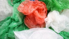 plastic bags