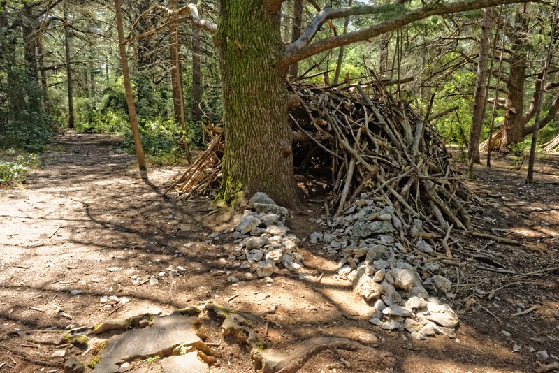 scout shelter