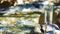 drinking water from the river