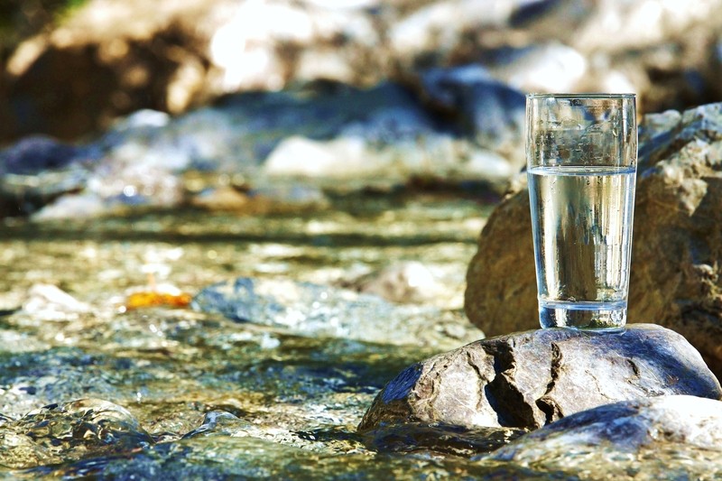 drinking water from the river