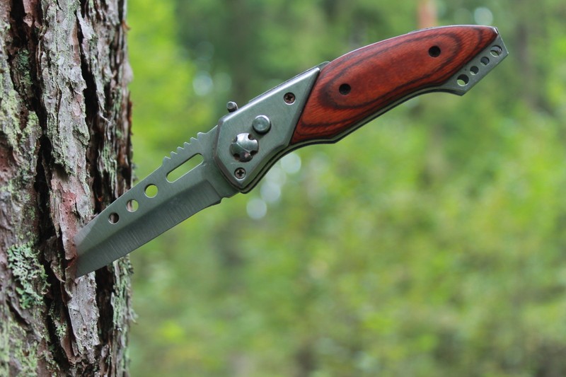 knife in a pine tree