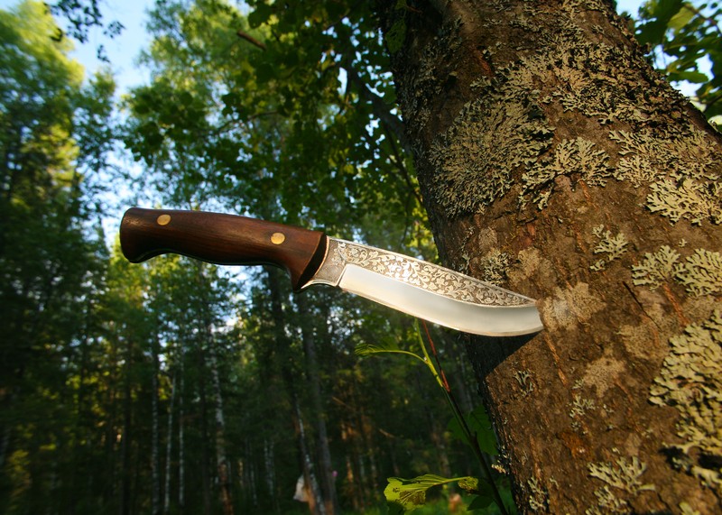 knife in a tree