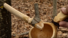 tapping a birch tree