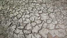 Drought