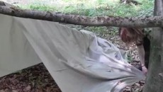 Lilly with Tarp