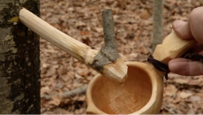 tapping a birch tree