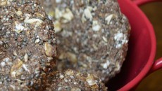 chocolate chia survival bars