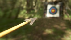 arrow aiming at target