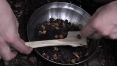 frying dandelion