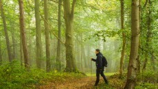 hiking in the forest