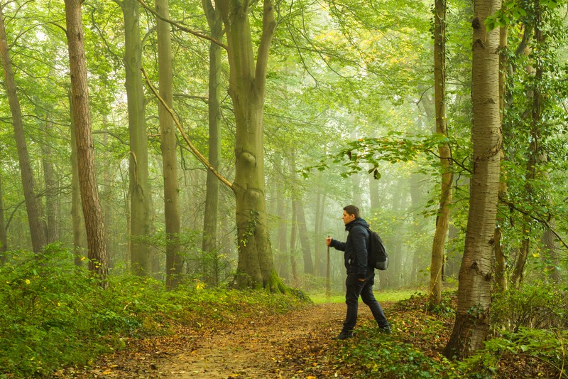 hiking in the forest