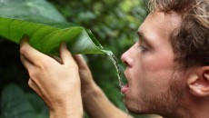 man drinking water from leaf