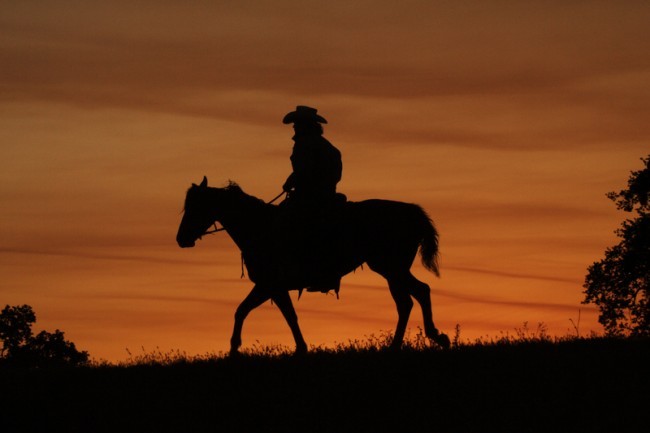 cowboy and horse