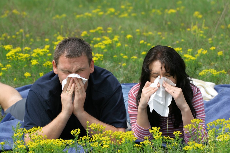 blowing nose allergies