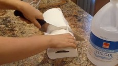 paper towels cut in half
