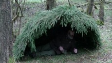 thatched bushcraft shelter