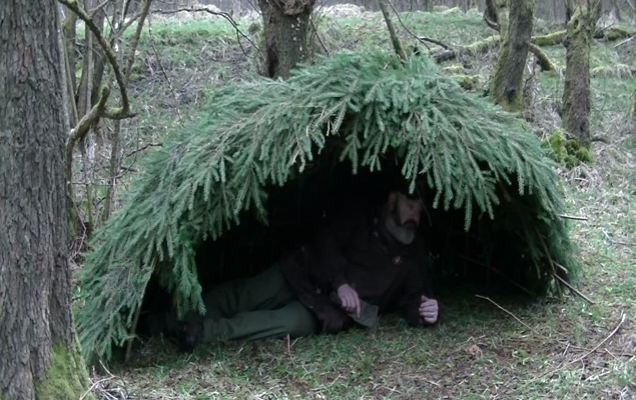 thatched bushcraft shelter