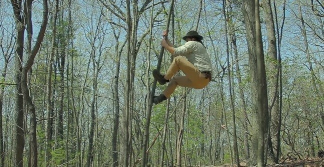 tree climbing