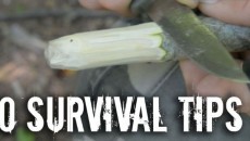 10 survival tips