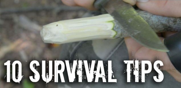 10 survival tips