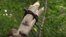 4 prong spear