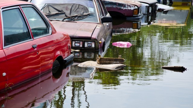 abandoned cars