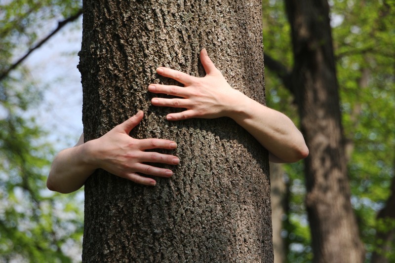 hugging a tree