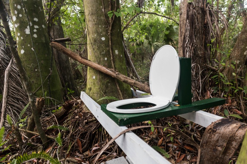 toilet in the woods