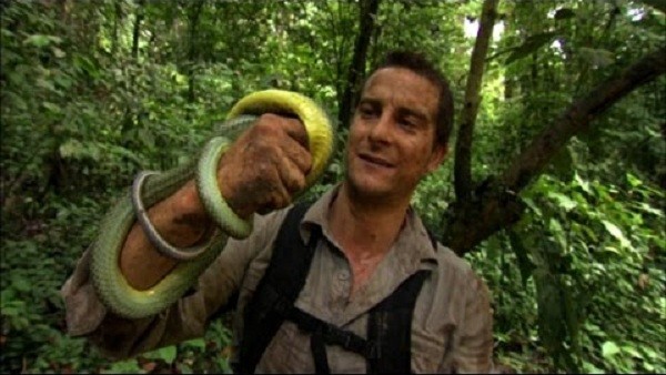 snake bite born survivor